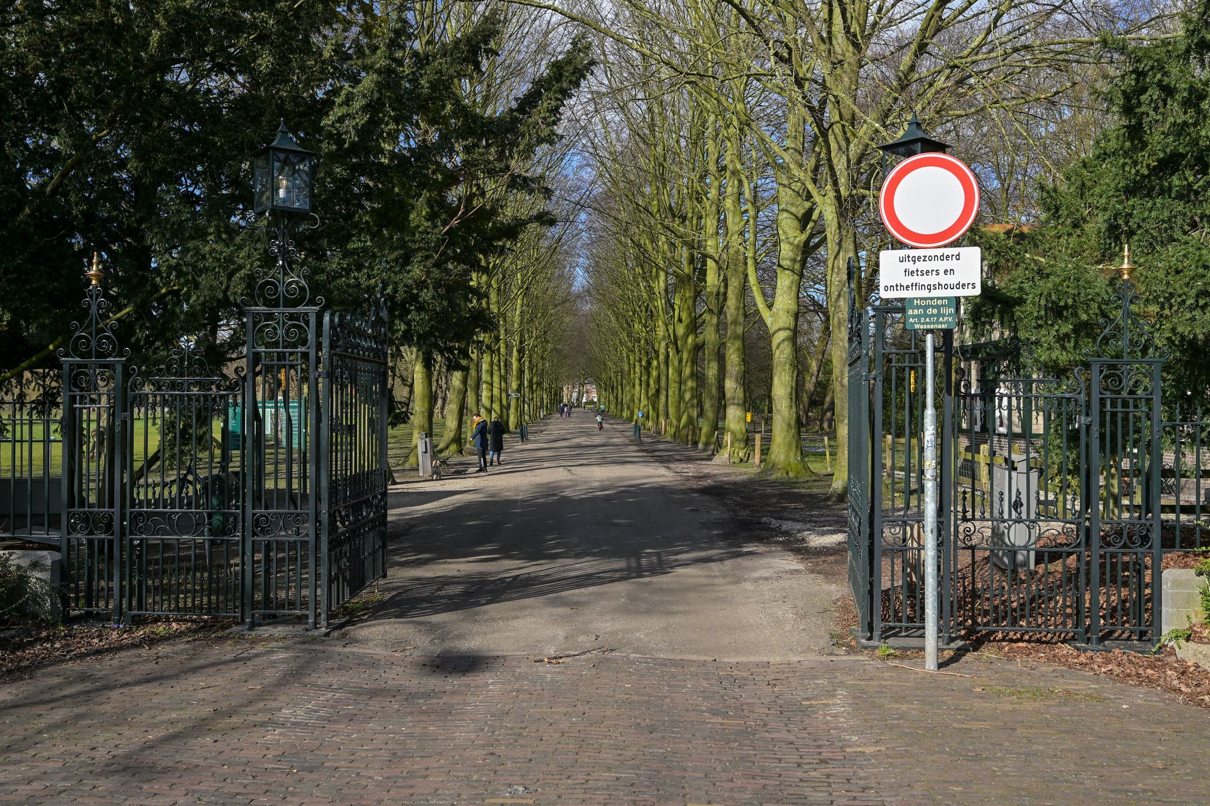 Van Alkemadelaan 646 Photo Blur 41