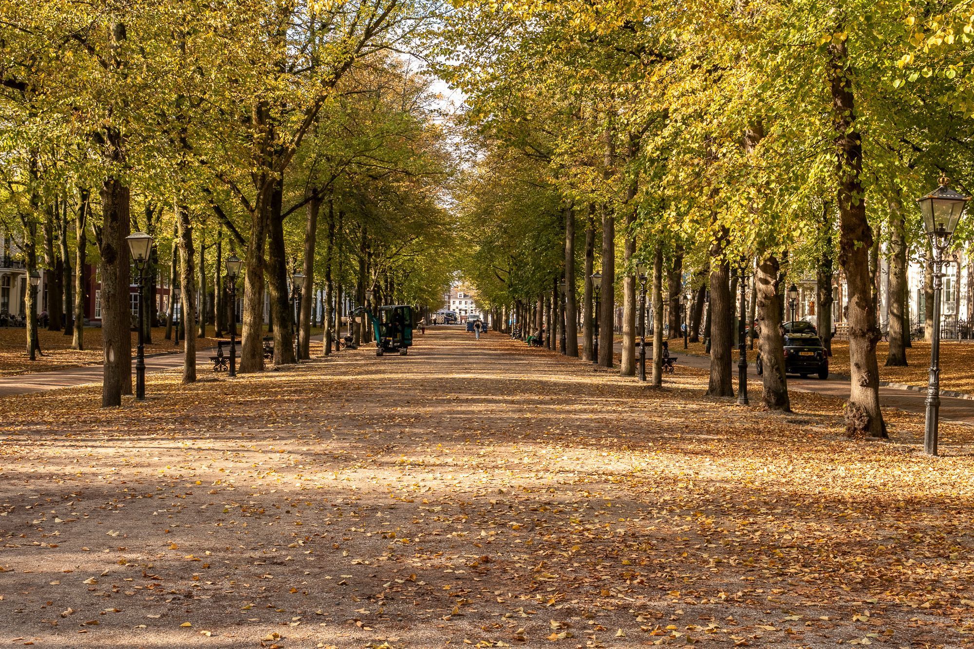 Houtweg 58 Photo Blur 32