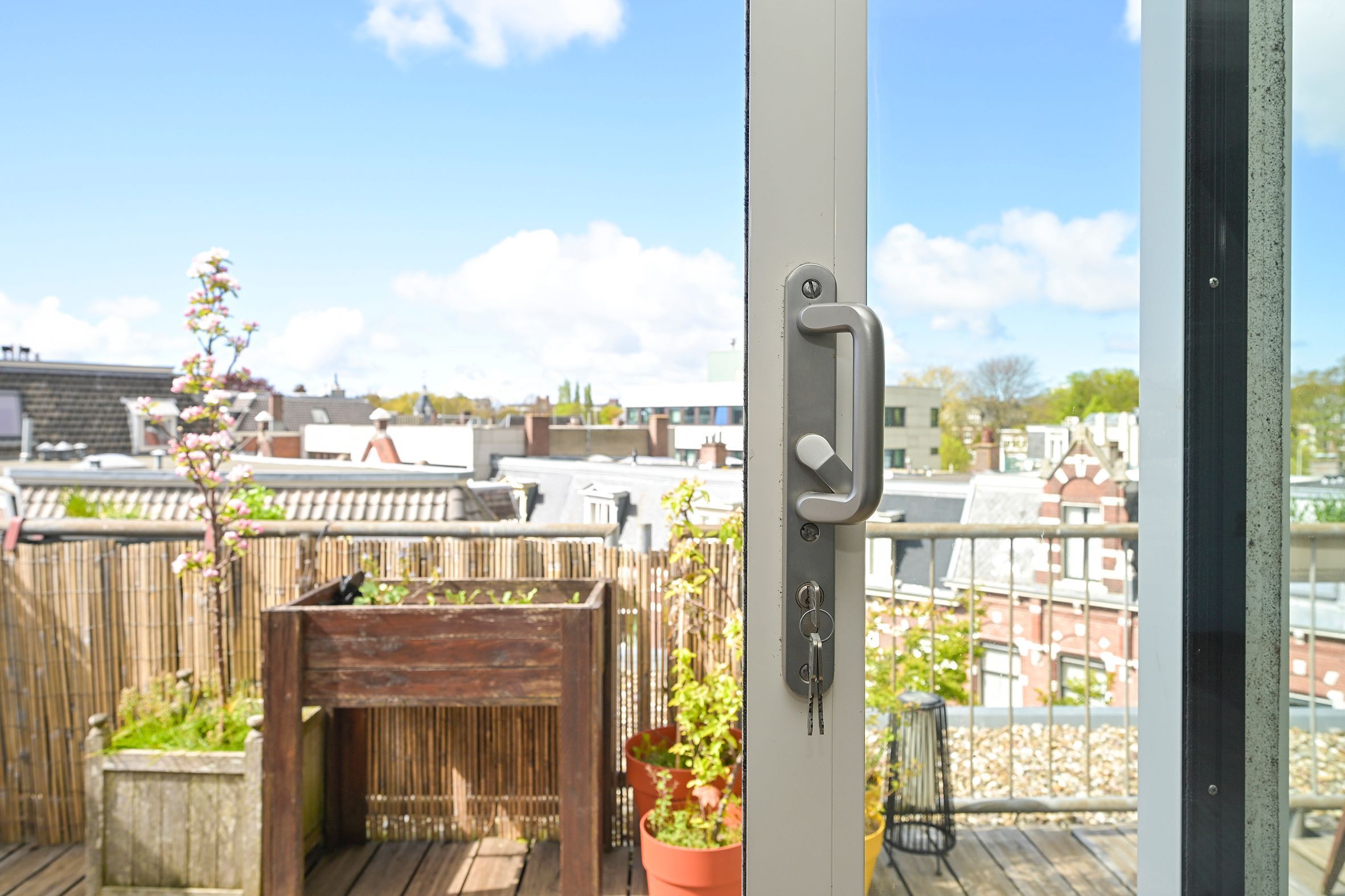 1e Sweelinckstraat 13-D Photo Blur 18