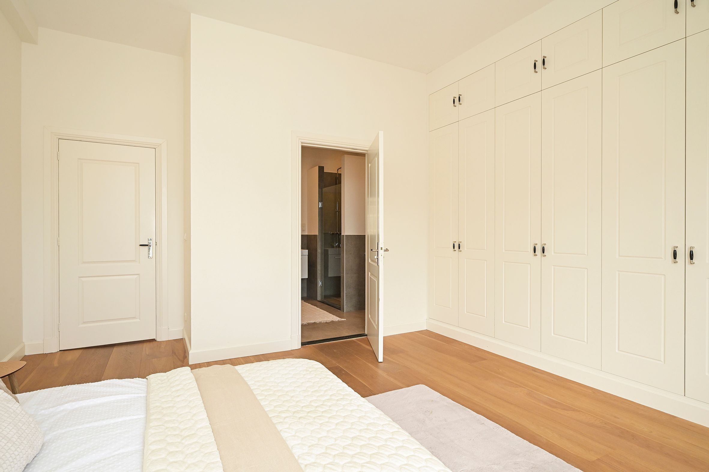 Anna Paulownastraat 103-C Photo Blur 17