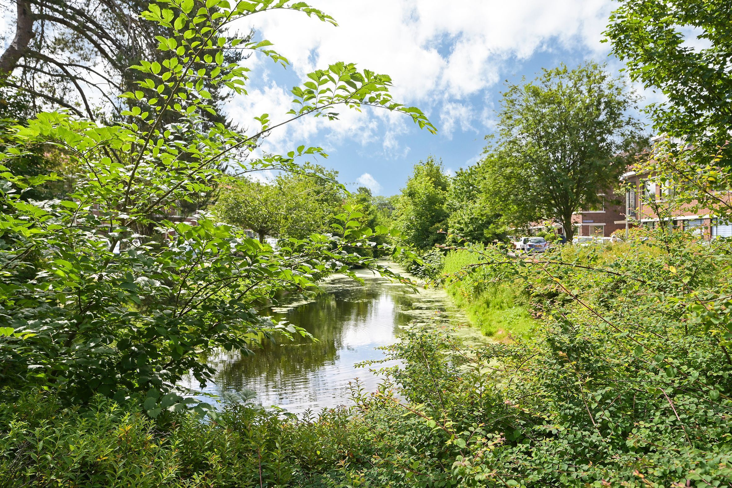 Laan van Meerdervoort 1273 Photo Blur 29