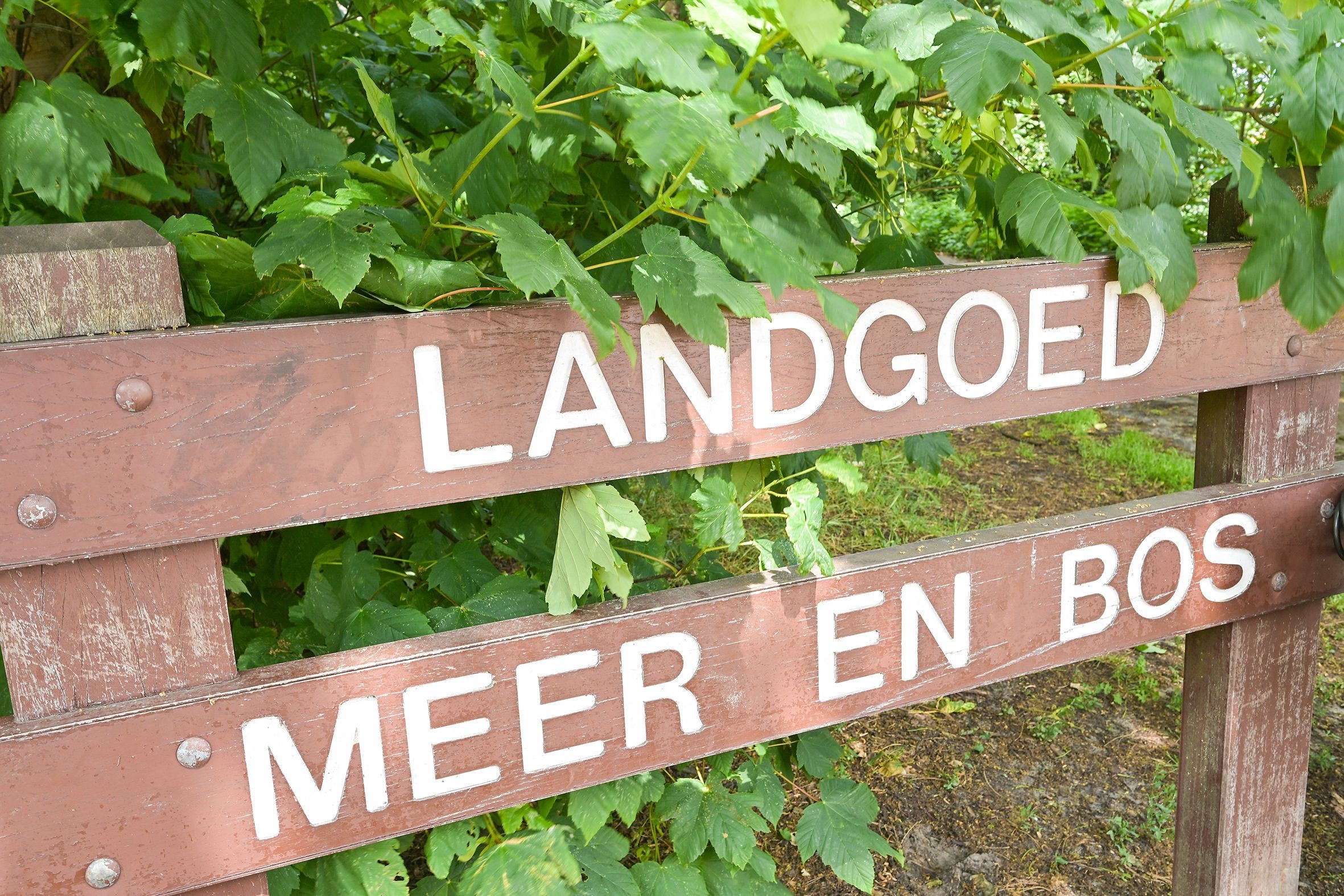Laan van Meerdervoort 1273 Photo Blur 30
