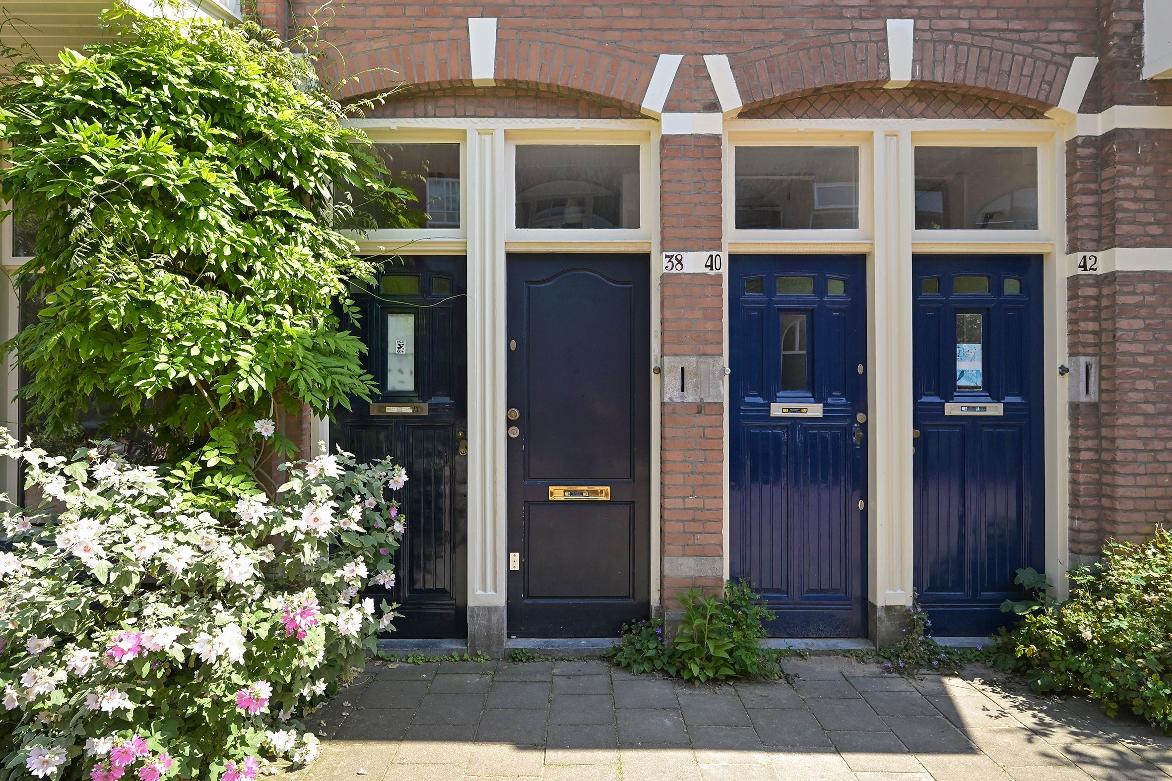 Buijs Ballotstraat 38 Photo Blur 28