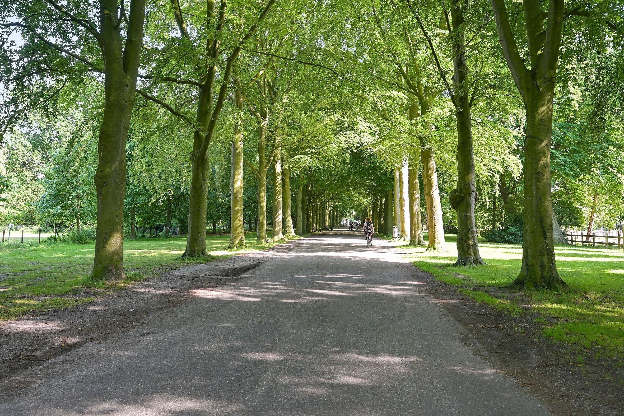 Laan van Clingendael 23 Photo Blur 46