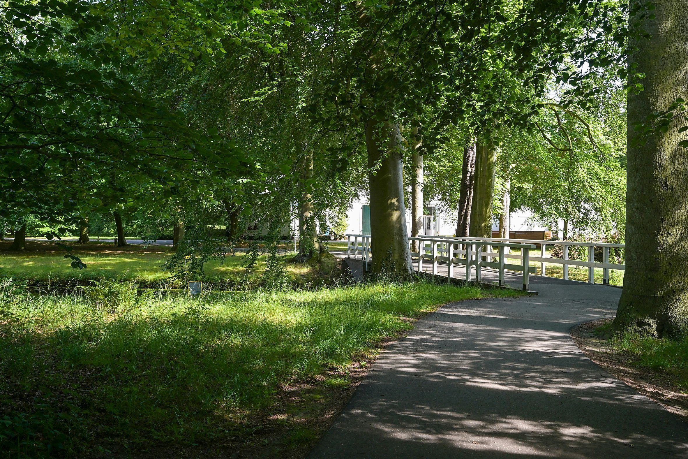 Laan van Clingendael 23 Photo Blur 44