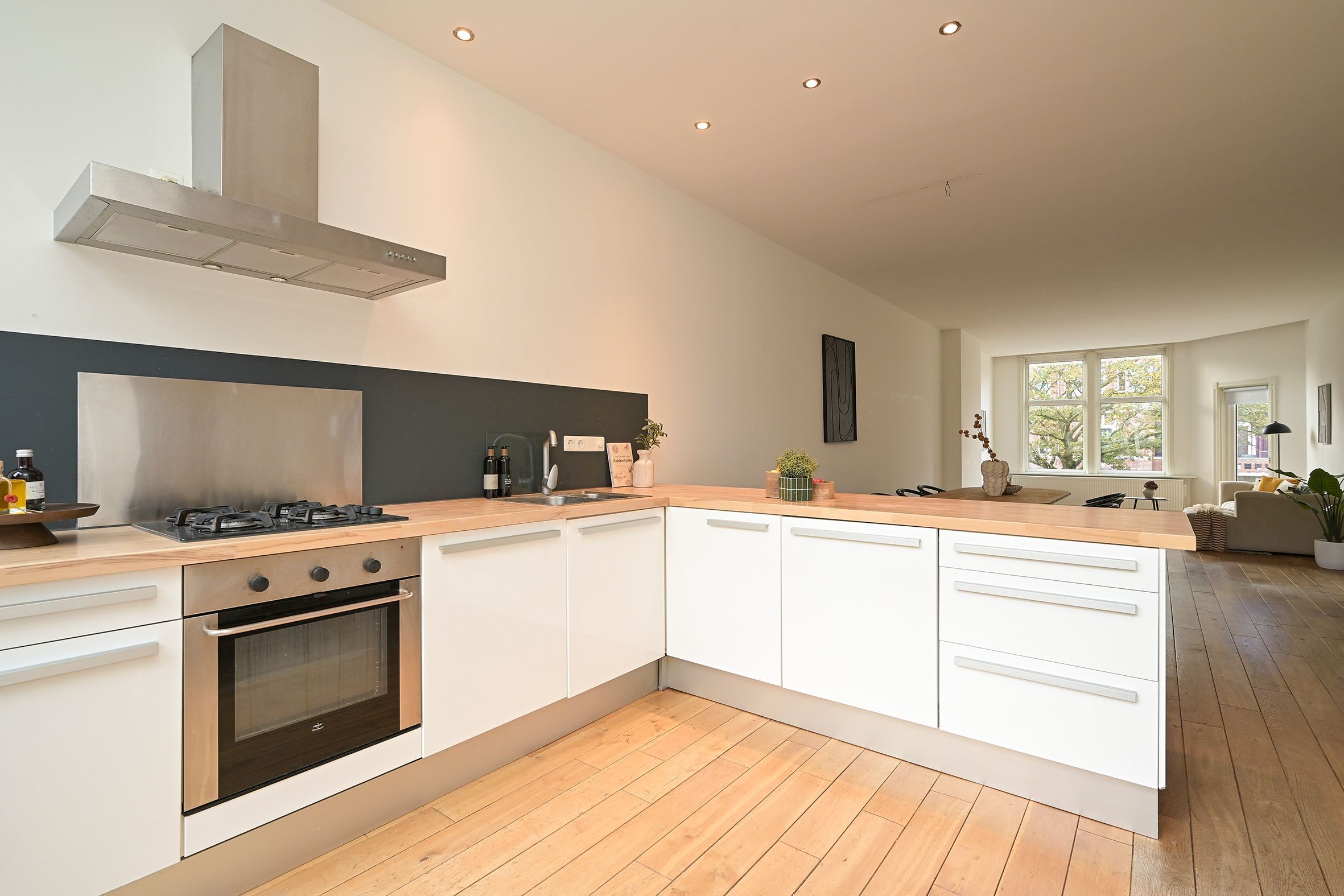Thomsonlaan 210 Photo Blur 18