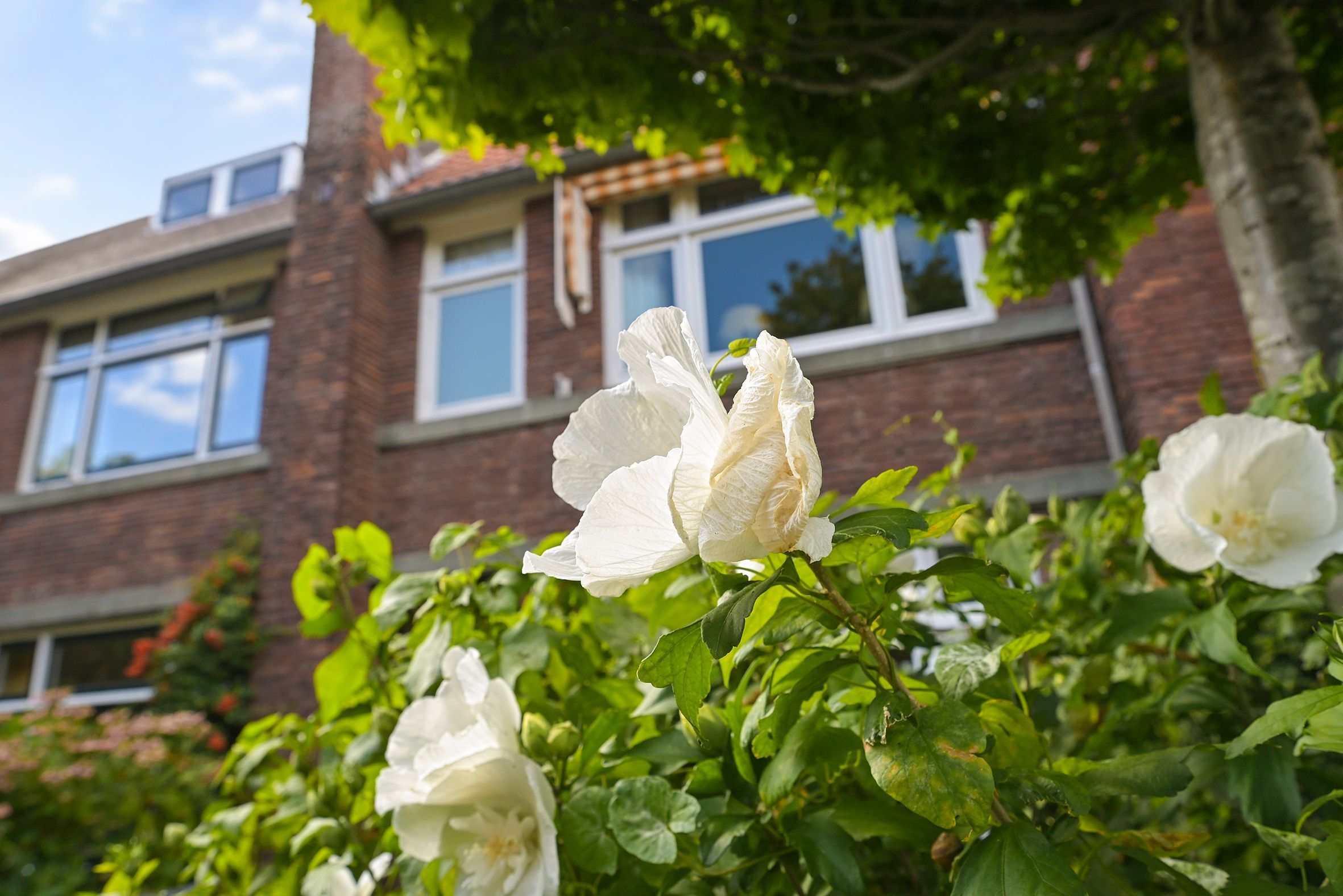 Van Diepenburchstraat 32 Photo Blur 2