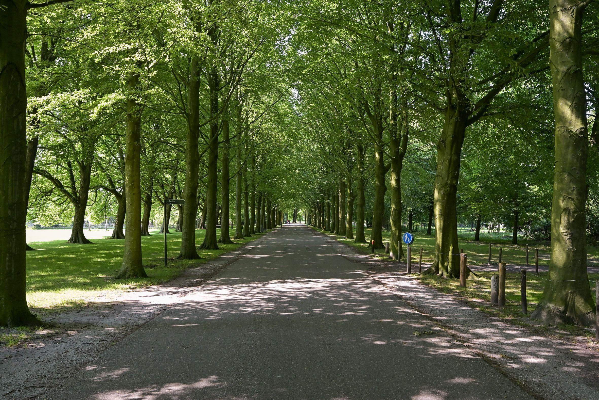 Wassenaarseweg 309 Photo Blur 46