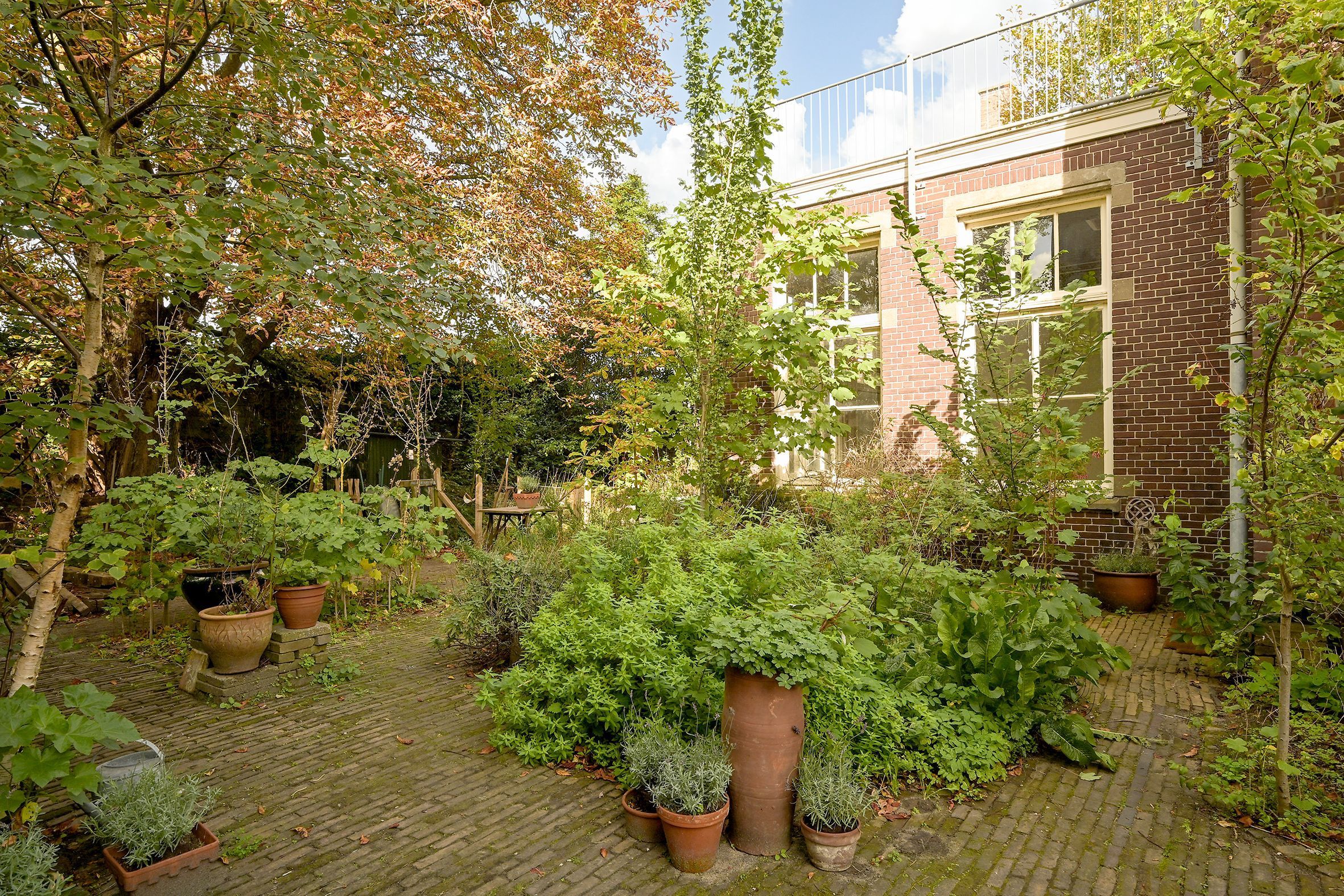 Doornstraat 3 Photo Blur 22