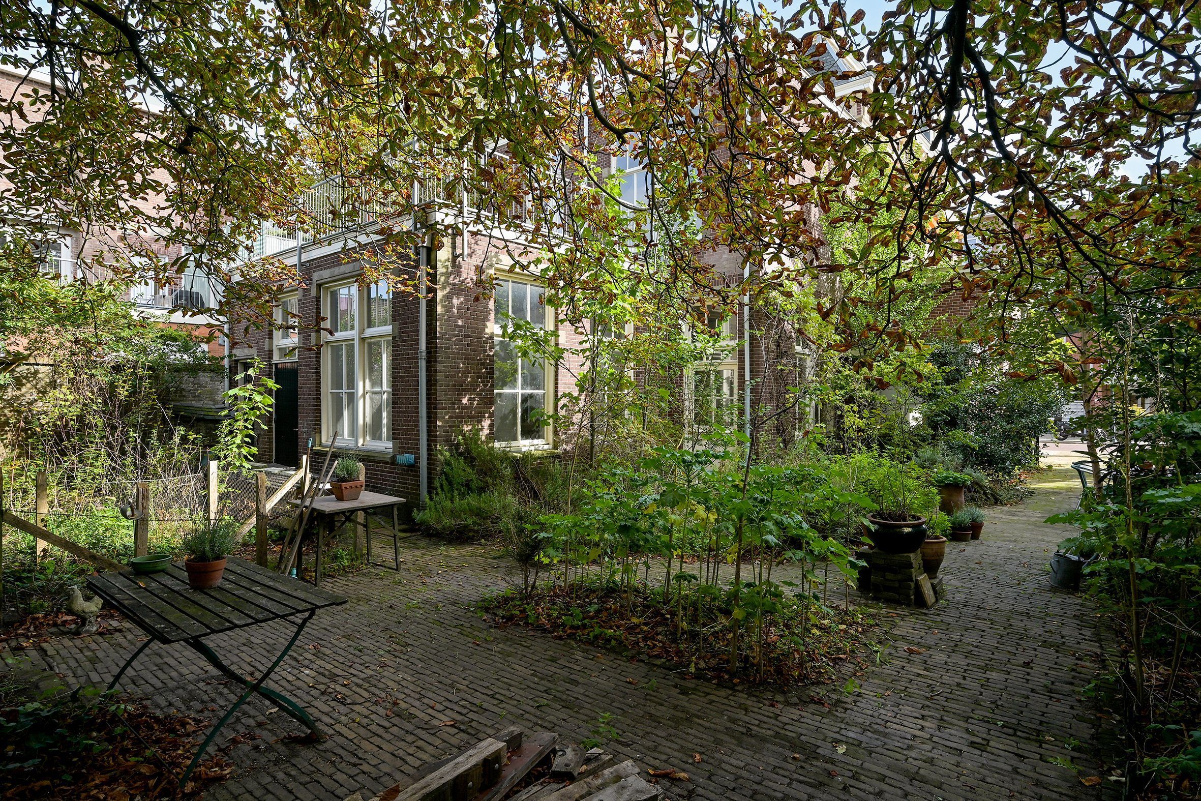 Doornstraat 3 Photo Blur 24