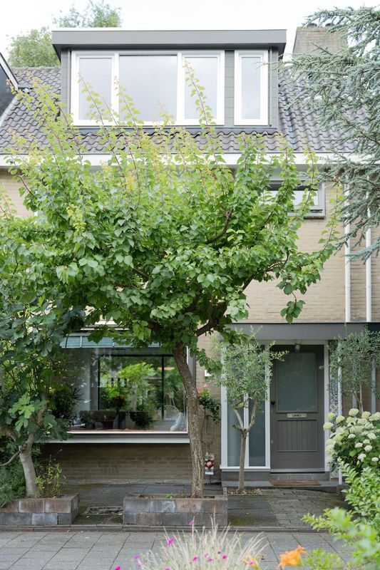 Roestmos 28 Photo Blur 35