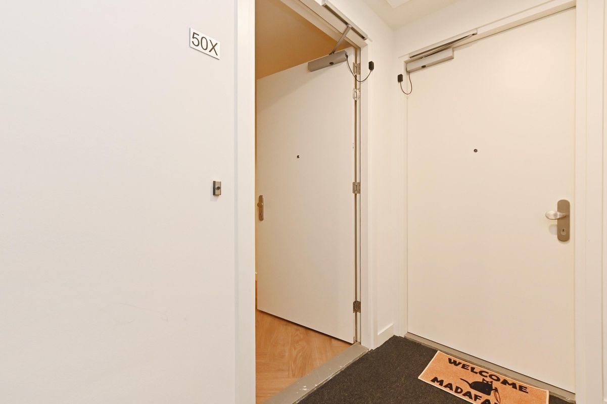 Baan 50-X Photo Blur 1