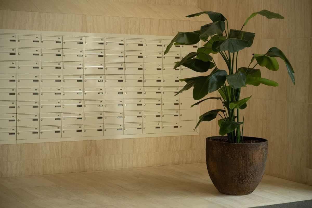 Baan 46-D Photo Blur 29