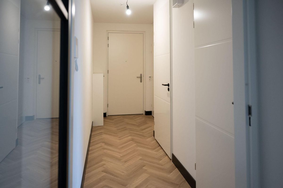 Baan 46-D Photo Blur 26