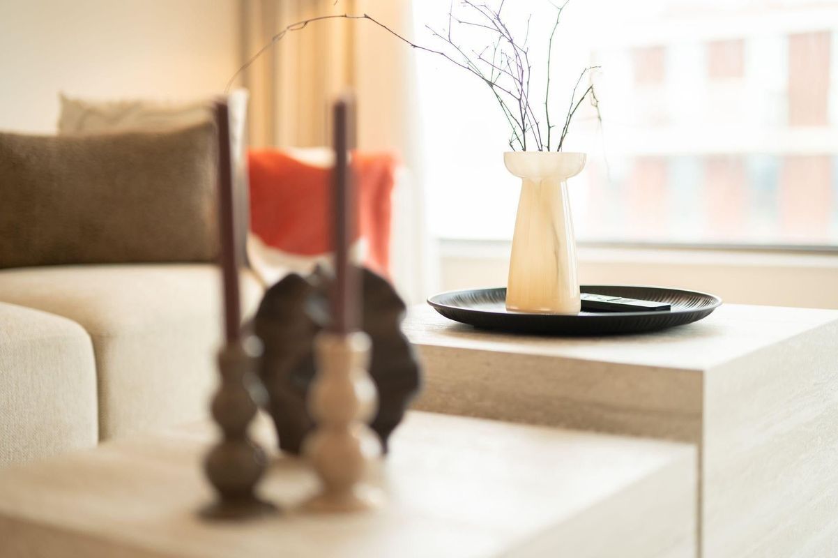 Baan 46-D Photo Blur 10