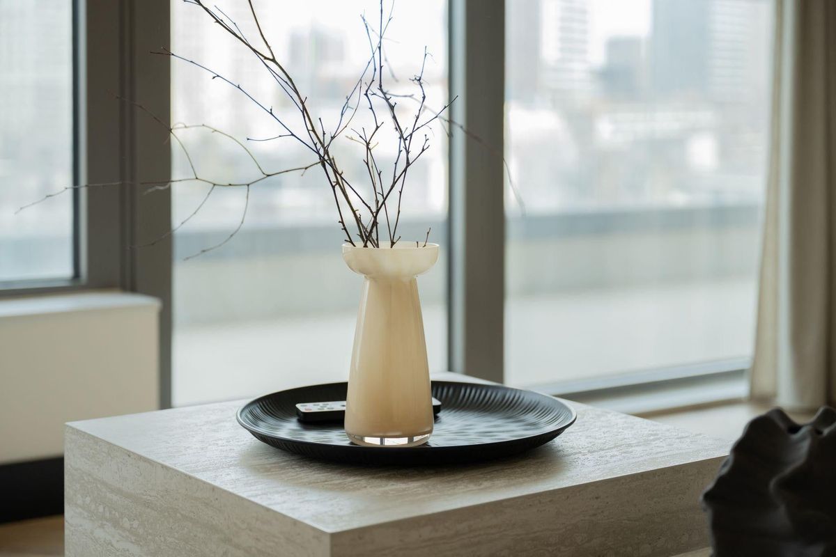 Baan 46-D Photo Blur 12