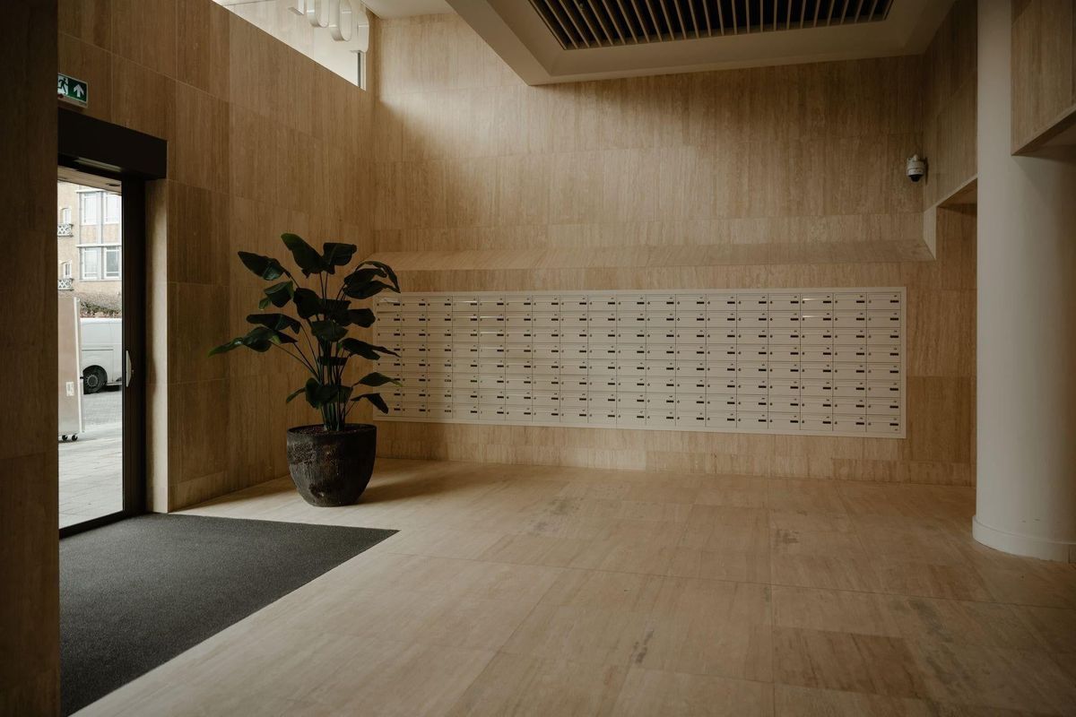 Baan 46-D Photo Blur 30