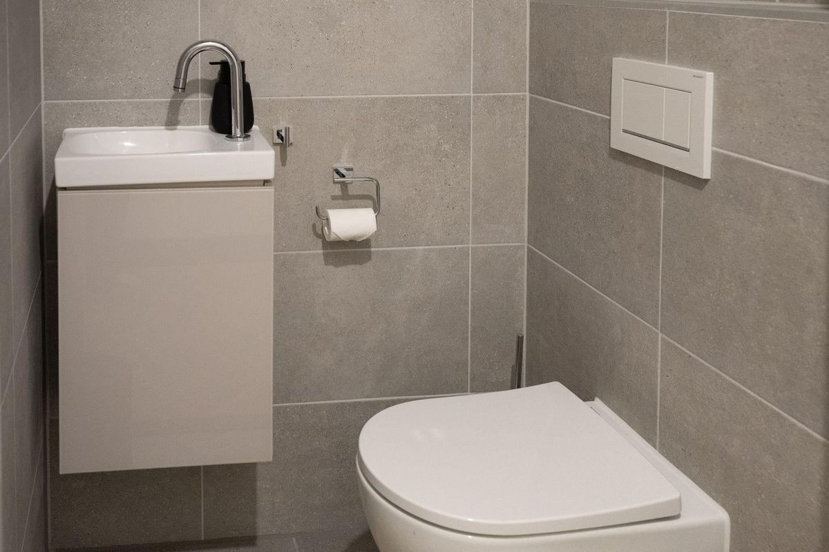 Baan 46-D Photo Blur 24