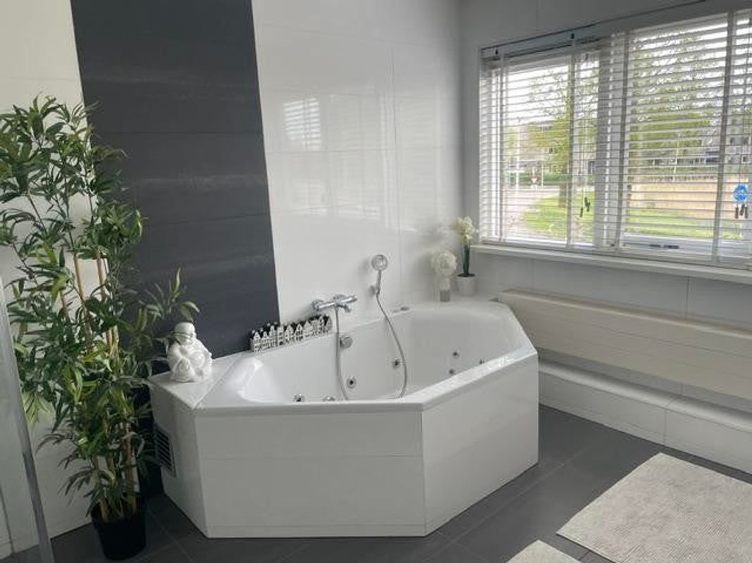 Strausslaan 60 Photo Blur 28