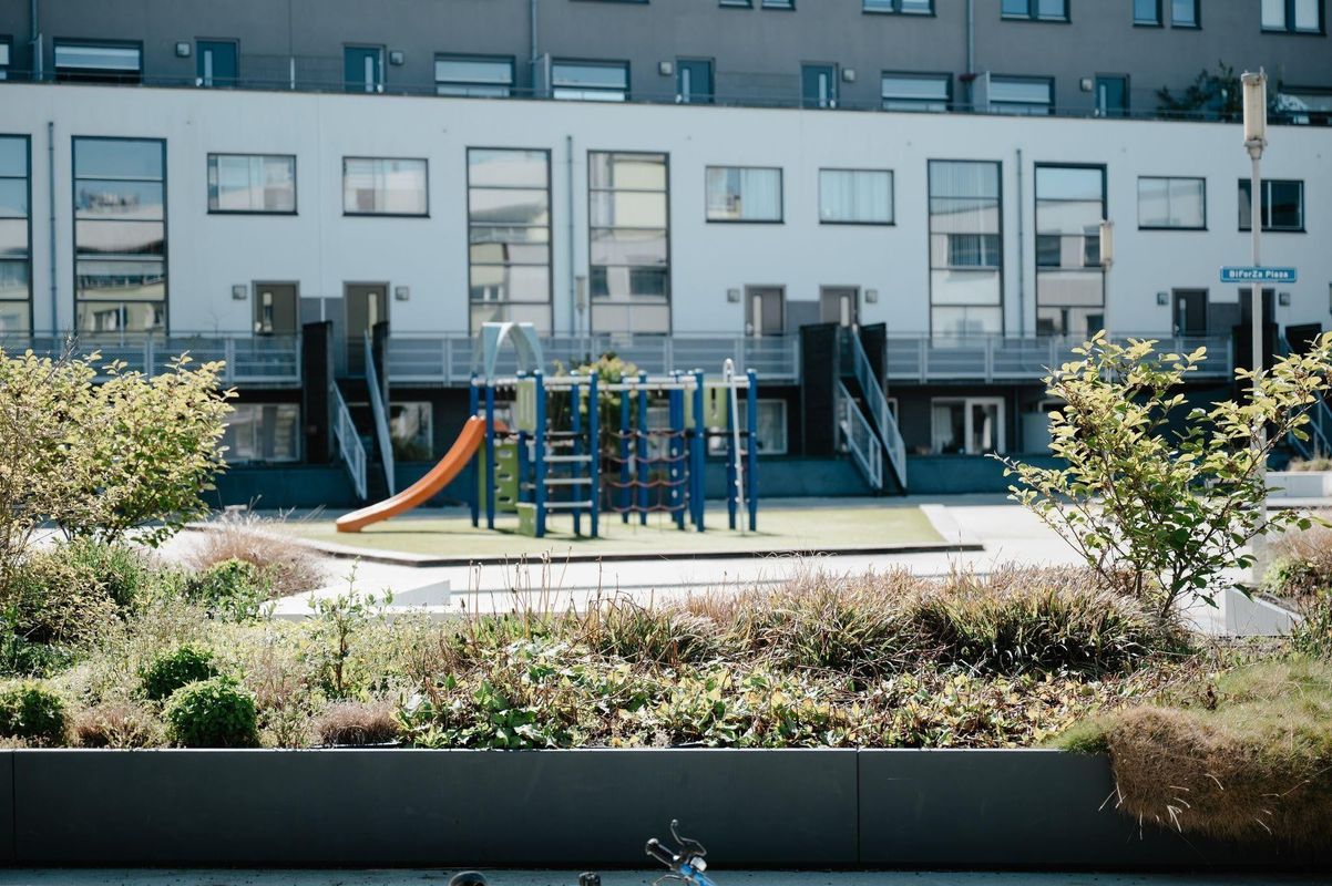 Factorij 20 Photo Blur 2