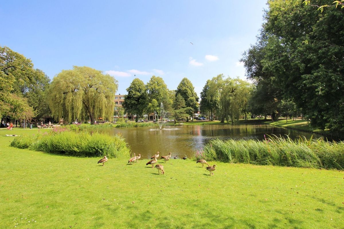 Statensingel 55-C Photo Blur 18