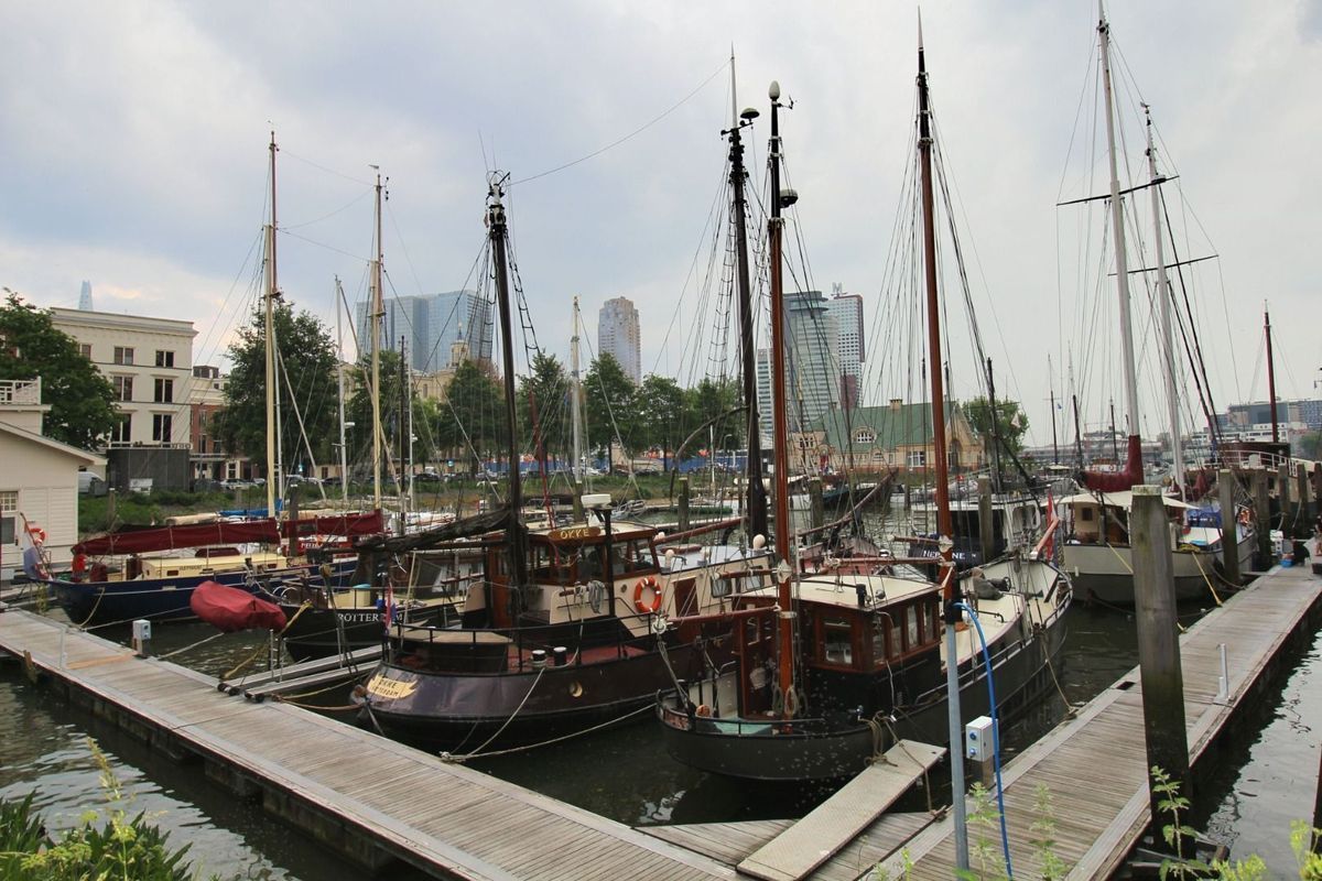 Houtlaan 48 Photo Blur 20