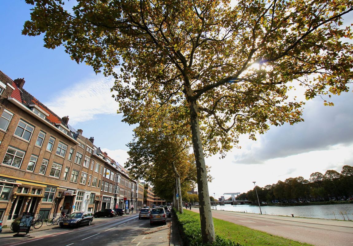 Aelbrechtskade 11-B Photo Blur 22