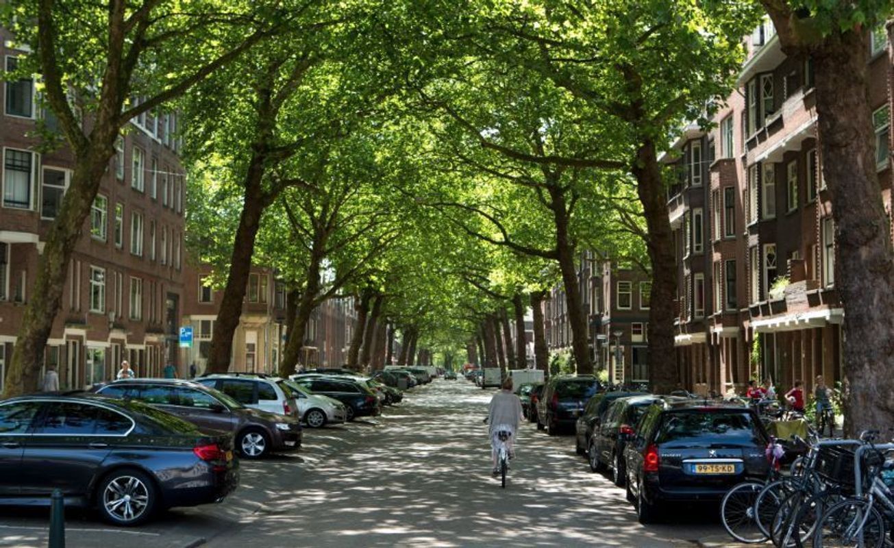 Graaf Florisstraat 76-B Photo Blur 1