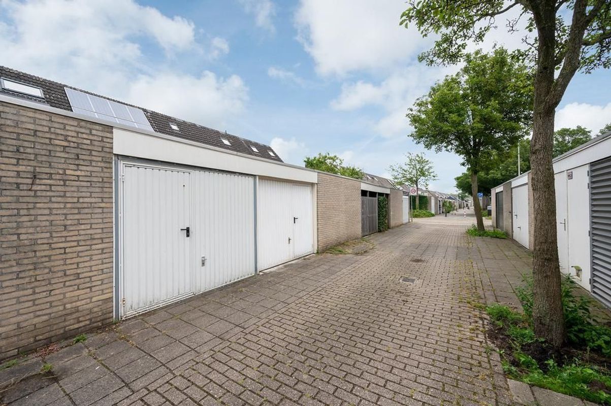 Aalhorst 78 Photo Blur 24