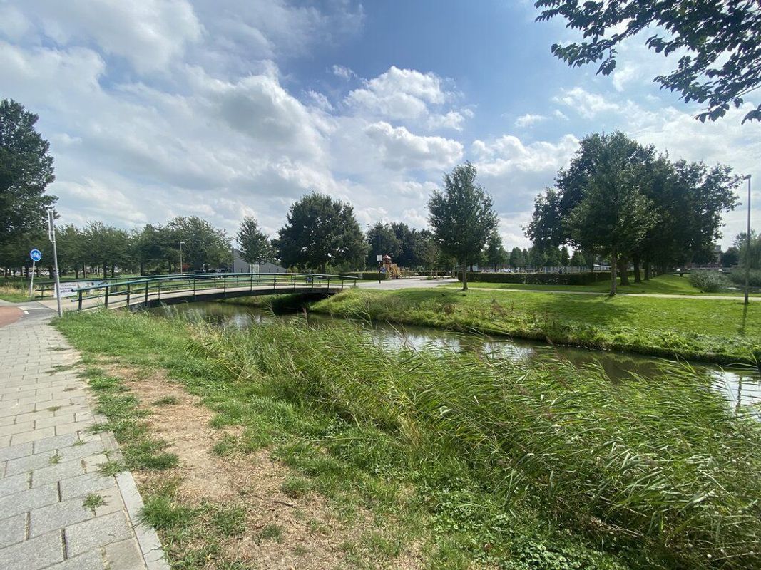 Brabantstraat 274 Photo Blur 5