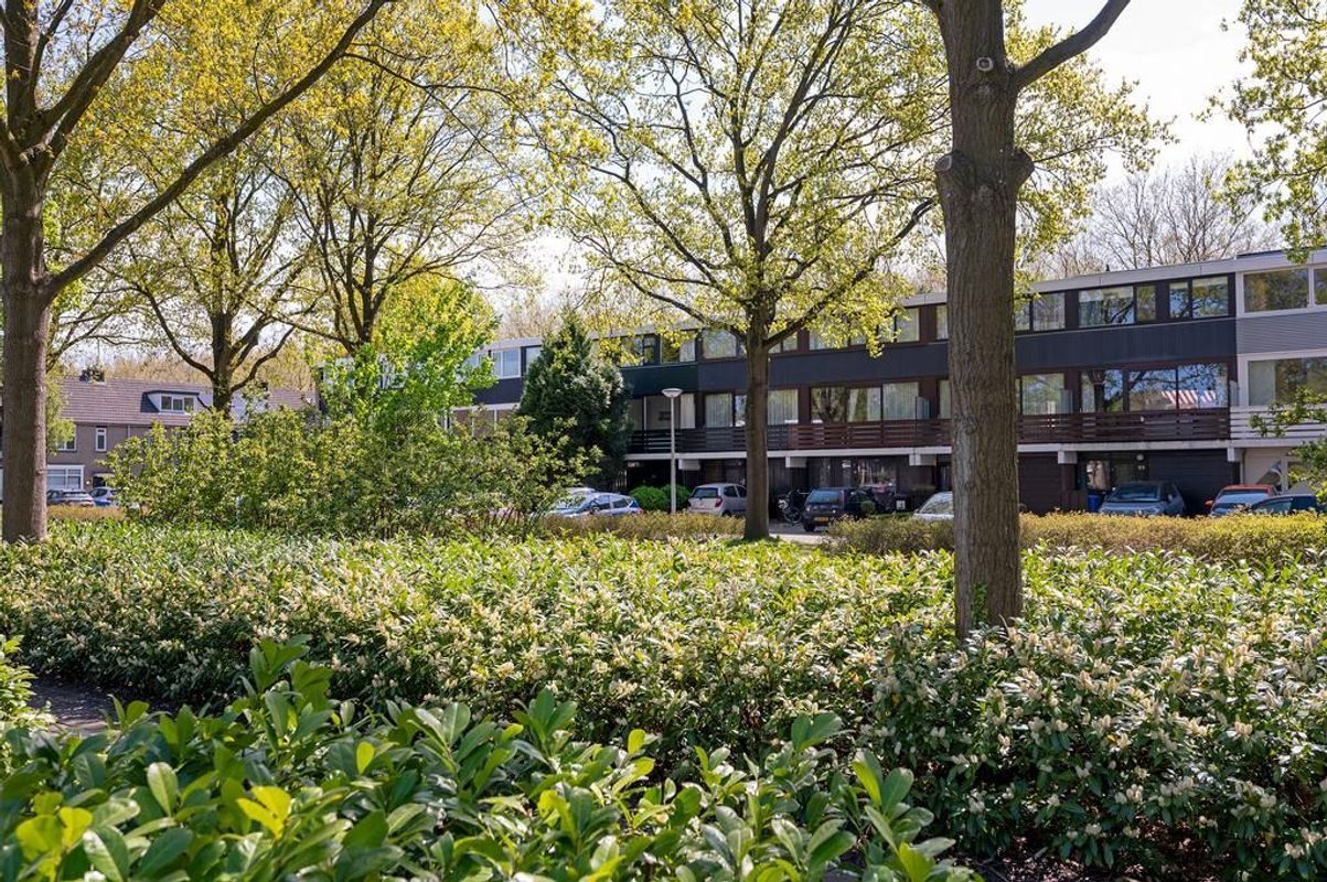 Pijperhof 36 Photo Blur 0