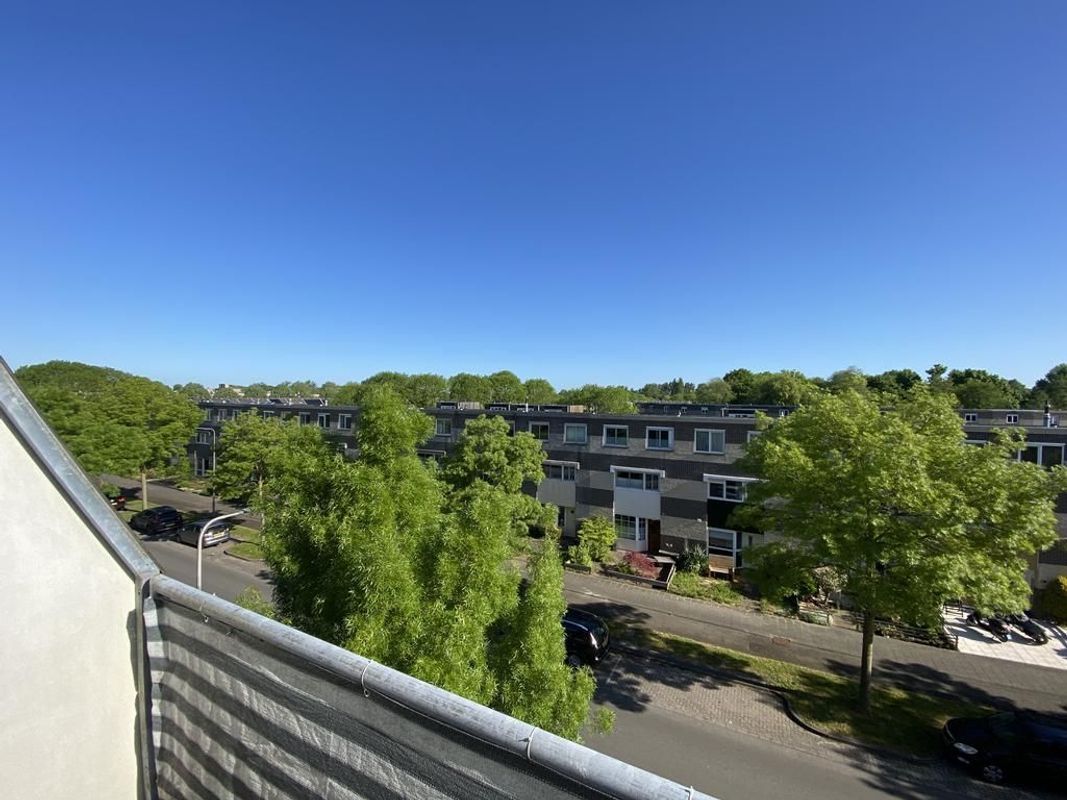 Schelfhorst 13-A Photo Blur 1