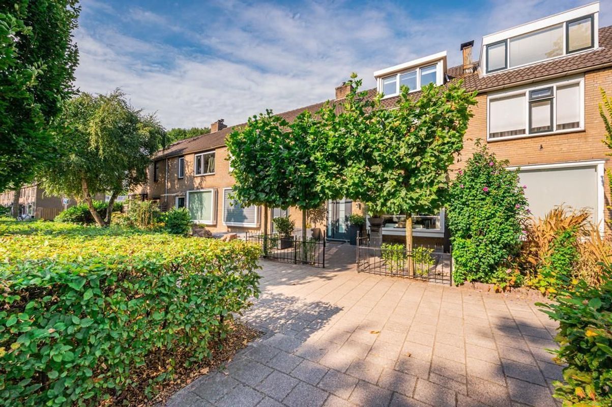 Chopinsingel 24 Photo Blur 0