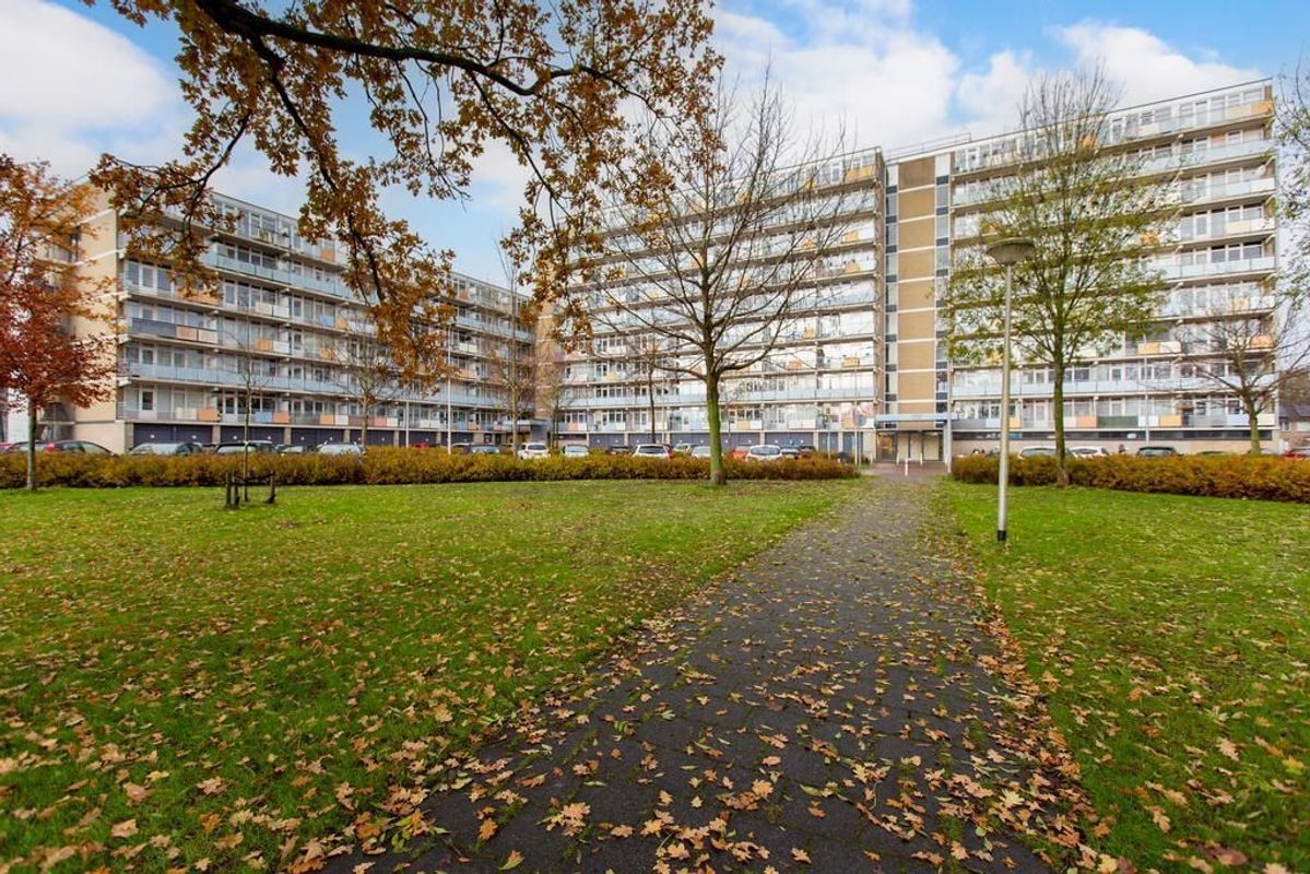 Lupinesingel 418 Photo Blur 0