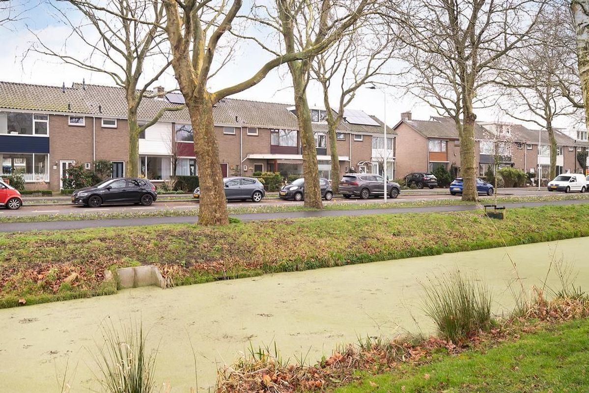 Veldbloemweg 11 Photo Blur 31