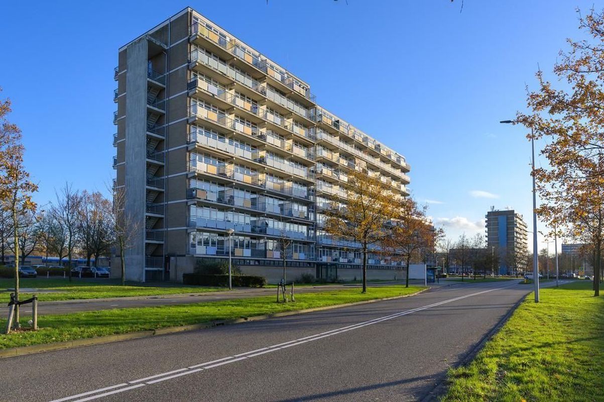 Lupinesingel 322-A Photo Blur 0