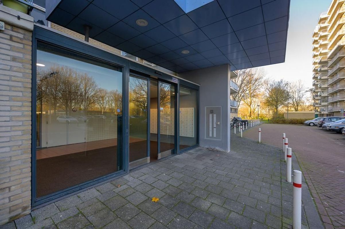Lupinesingel 322-A Photo Blur 1
