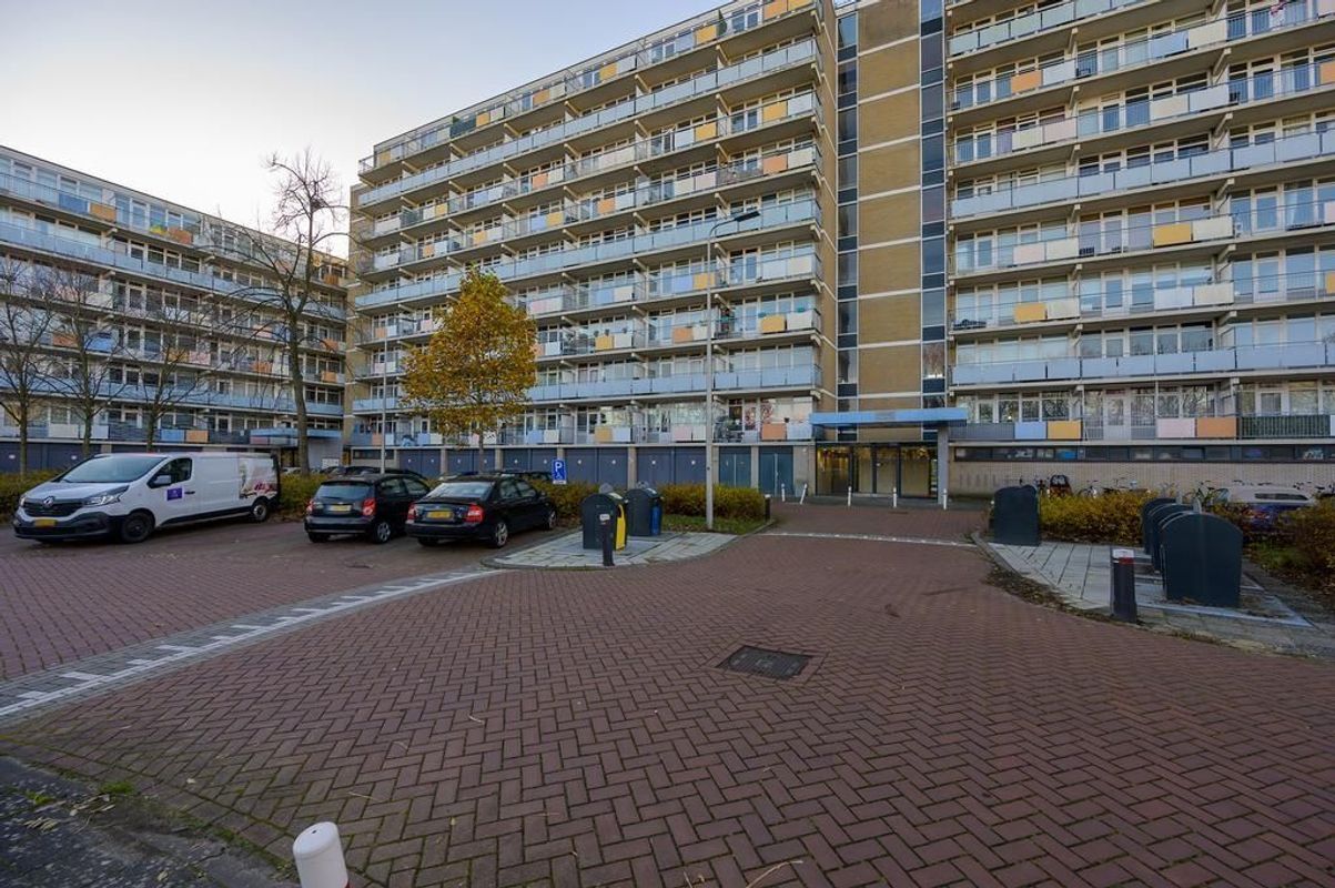 Lupinesingel 322-A Photo Blur 20