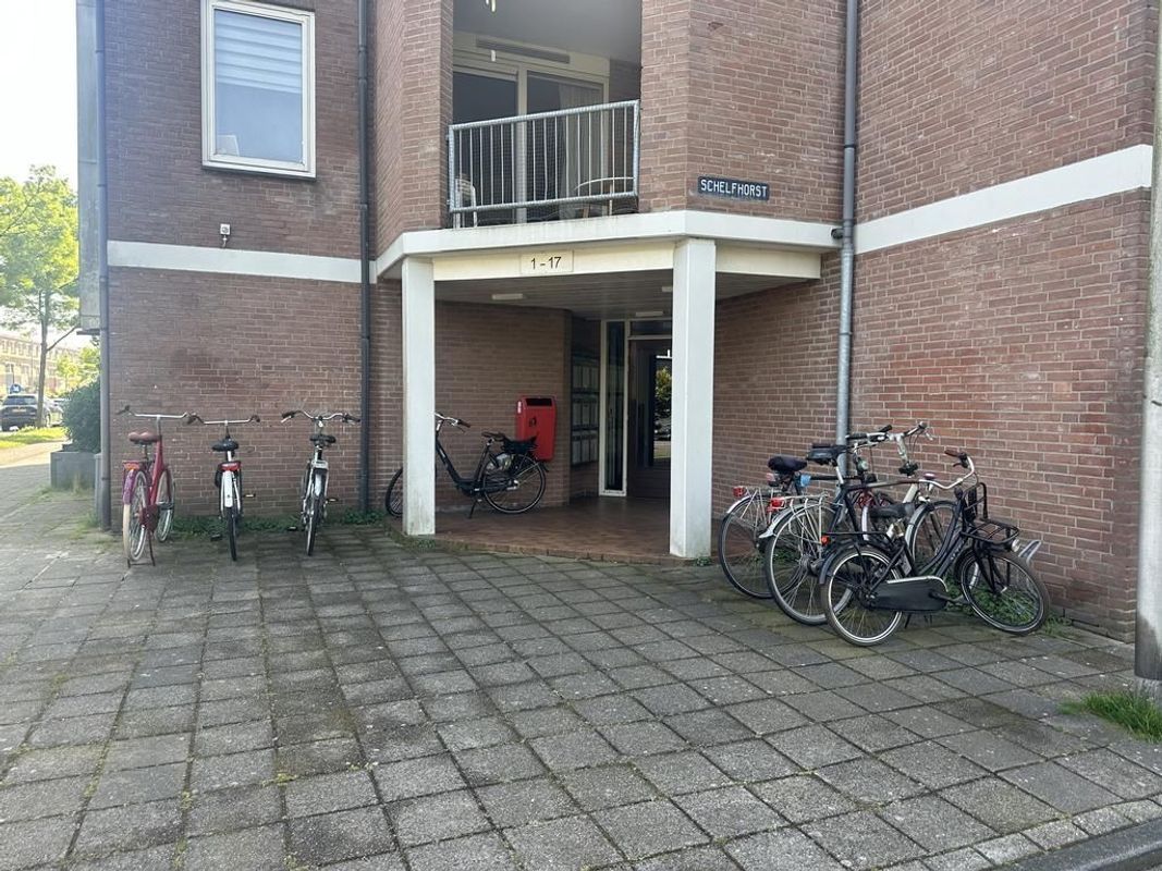 Schelfhorst 13-A Photo Blur 1