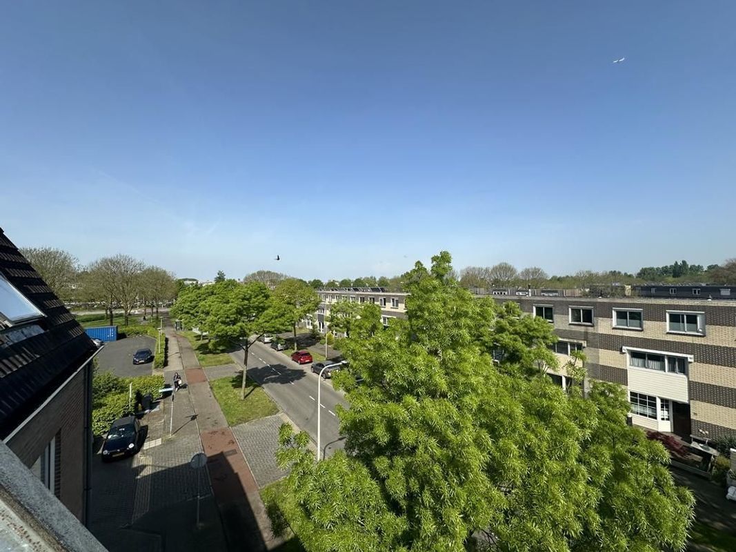 Schelfhorst 13-A Photo Blur 9
