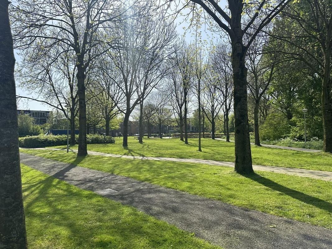 Schelfhorst 13-A Photo Blur 14