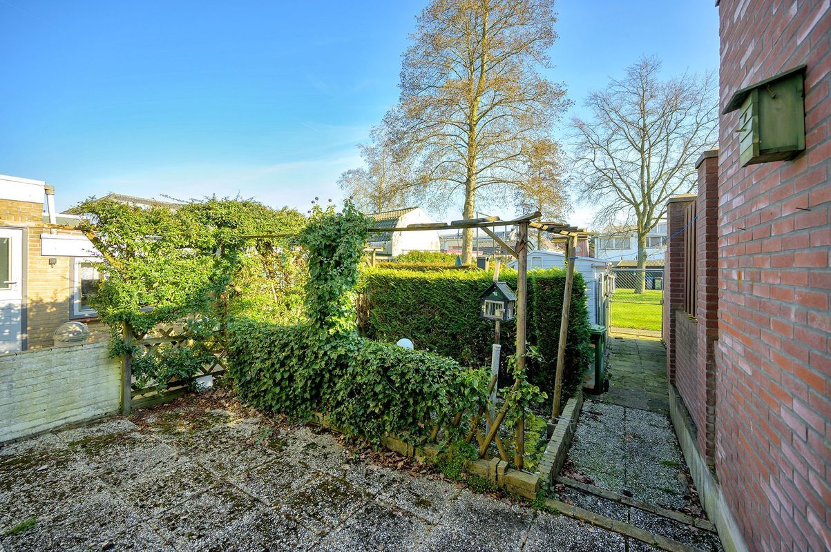 Raadwijkstraat 20 Photo Blur 9