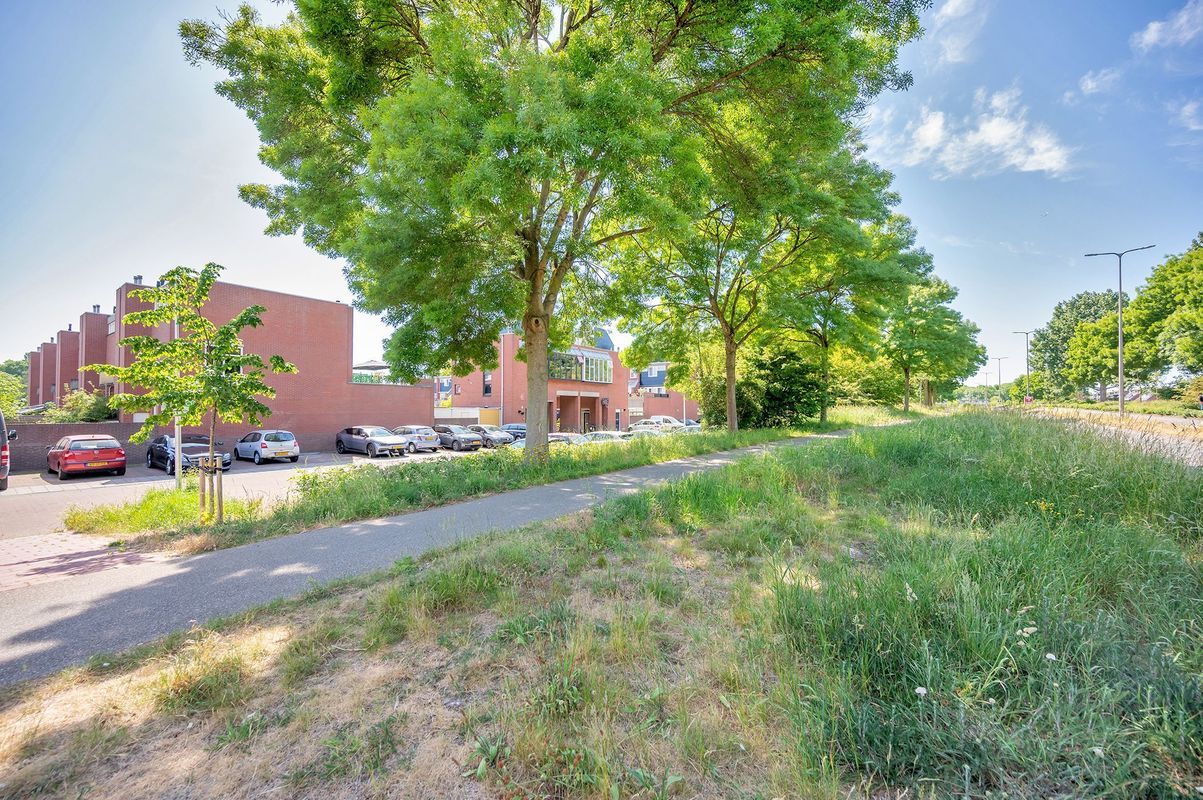 Walenburg 148 Photo Blur 22