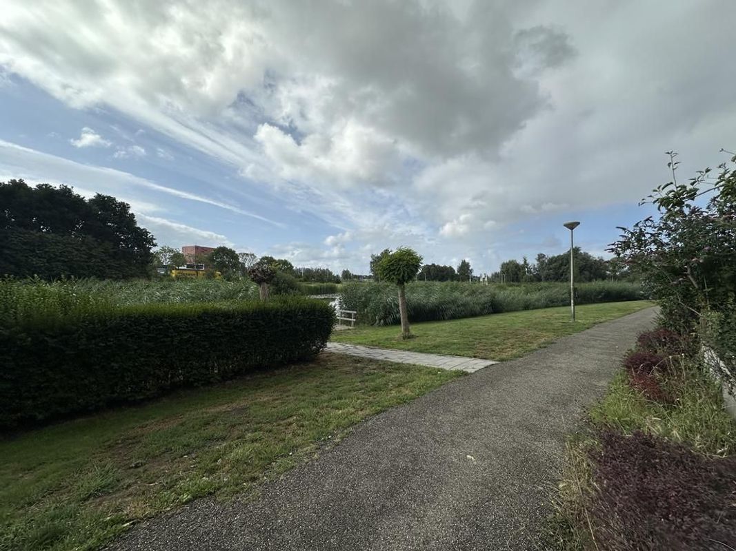 Polderpeil 246 Photo Blur 25