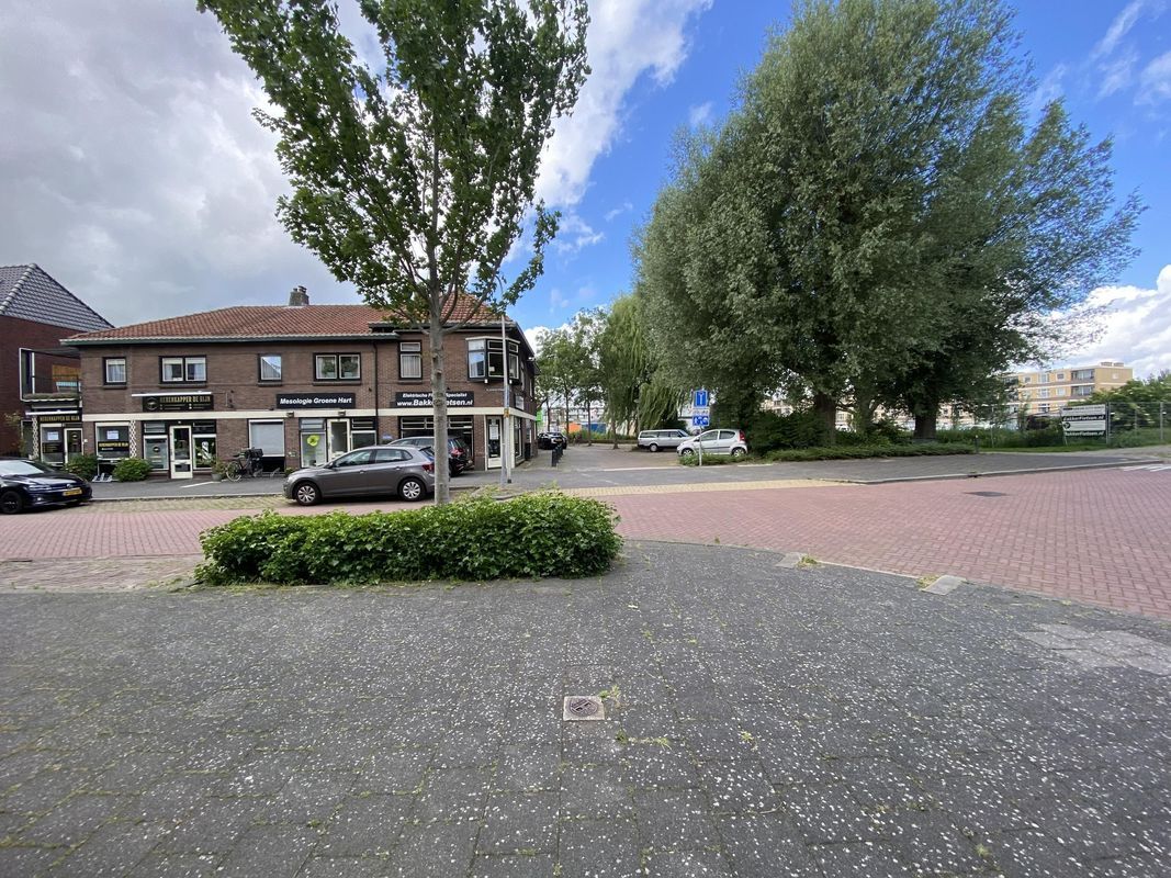 Aarkade 70 Photo Blur 12
