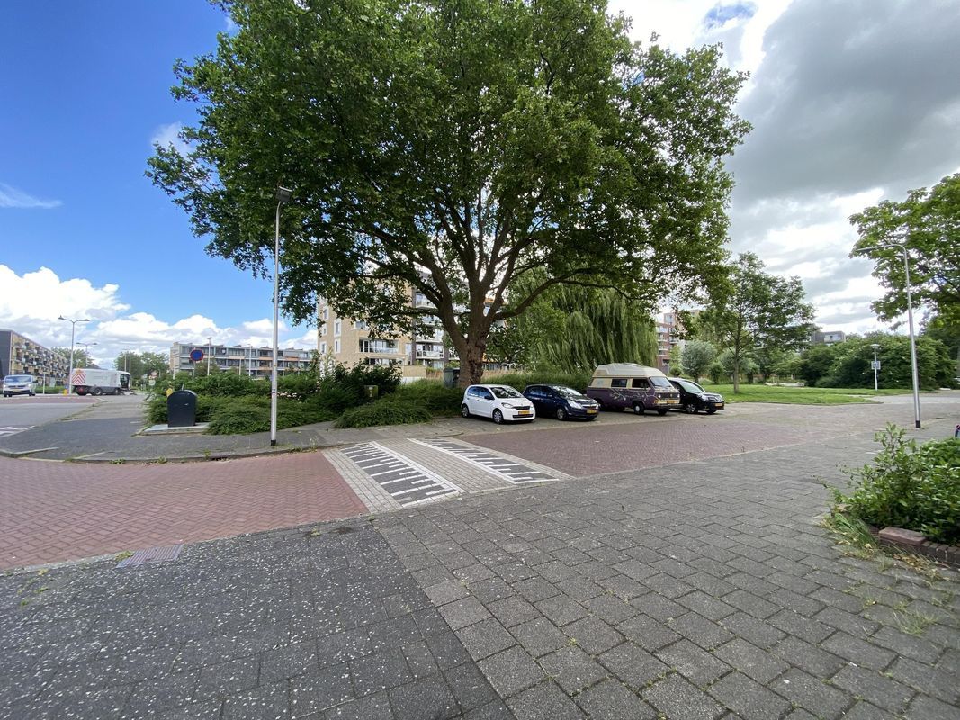Aarkade 70 Photo Blur 10