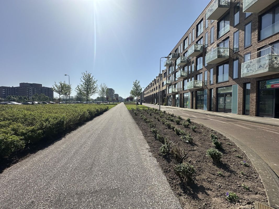 Zuidpoolsingel 172-D Photo Blur 4