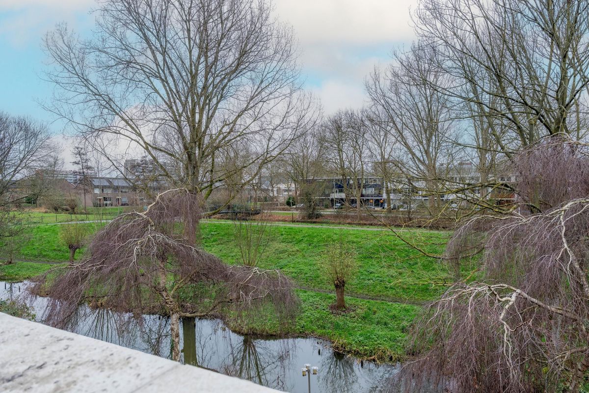 Doornenburg 124 Photo Blur 1