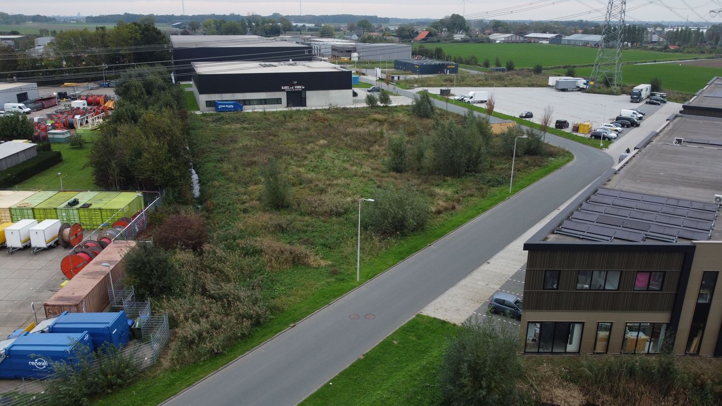 Reedijk Photo 9