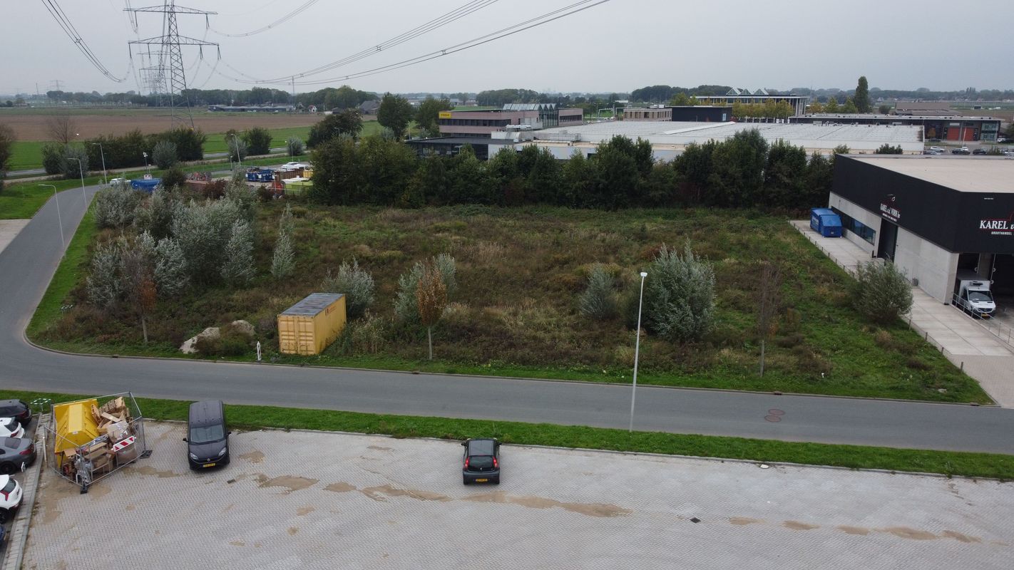 Reedijk Photo 6